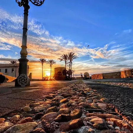 Gilbert 36 * 阿尔盖罗